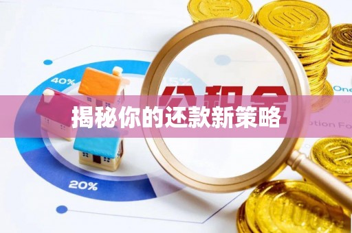 台安揭秘你的还款新策略