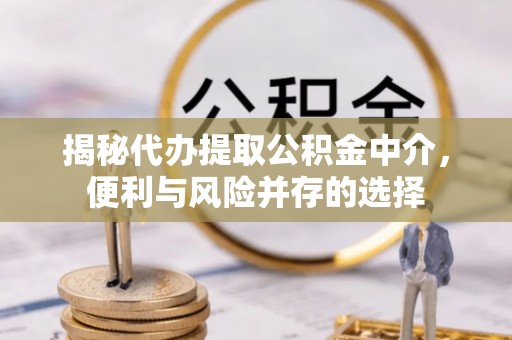 台安揭秘代办提取公积金中介，便利与风险并存的选择