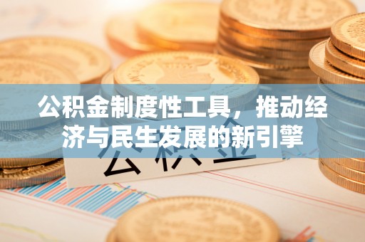 台安公积金制度性工具，推动经济与民生发展的新引擎