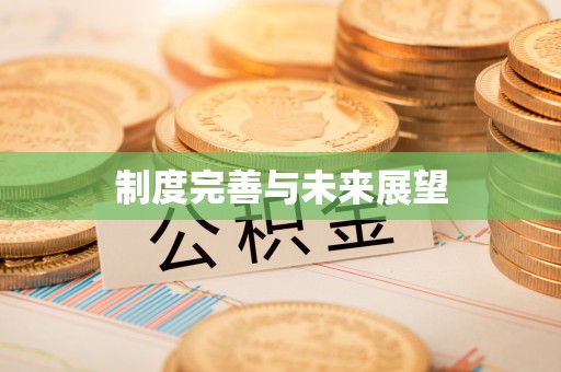 台安制度完善与未来展望