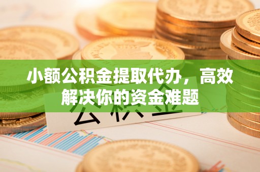 台安小额公积金提取代办，高效解决你的资金难题