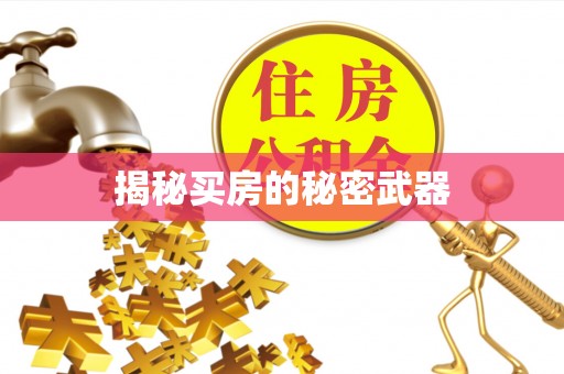 台安揭秘买房的秘密武器