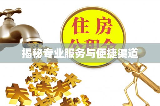 台安揭秘专业服务与便捷渠道