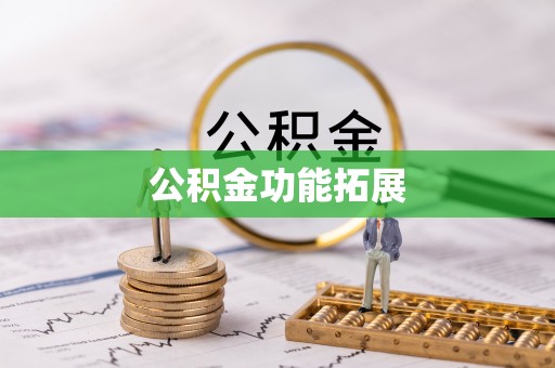 台安公积金功能拓展