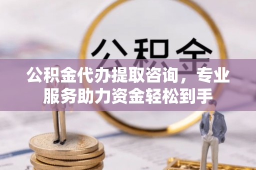台安公积金代办提取咨询，专业服务助力资金轻松到手
