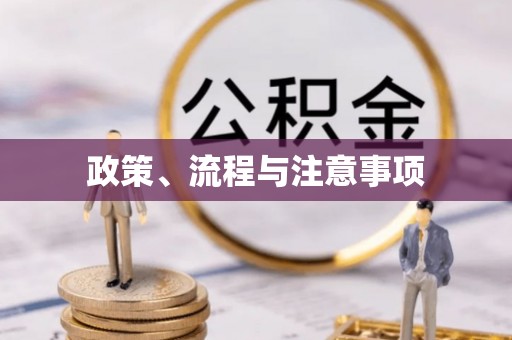 台安政策、流程与注意事项