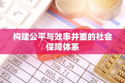 台安构建公平与效率并重的社会保障体系