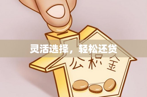 台安灵活选择，轻松还贷