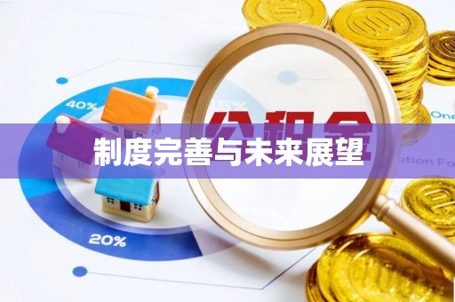 台安制度完善与未来展望