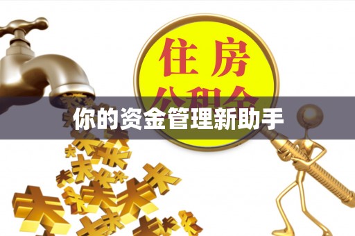 台安你的资金管理新助手