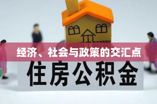 台安经济、社会与政策的交汇点