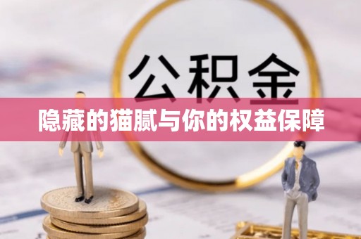 台安隐藏的猫腻与你的权益保障