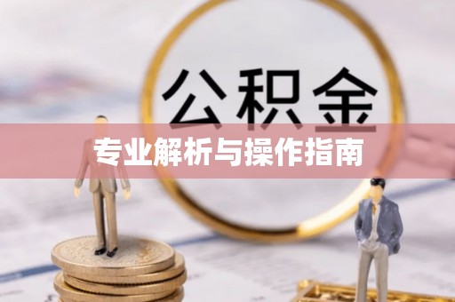台安专业解析与操作指南
