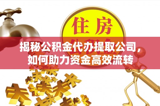台安揭秘公积金代办提取公司，如何助力资金高效流转