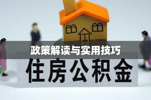 台安政策解读与实用技巧