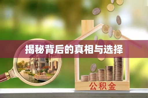 台安揭秘背后的真相与选择