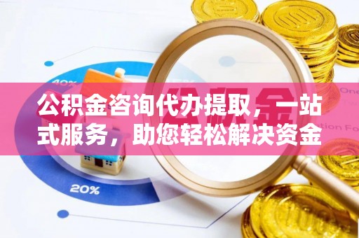 台安公积金咨询代办提取，一站式服务，助您轻松解决资金难题