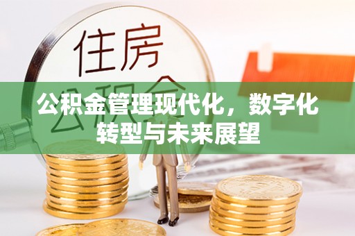 台安公积金管理现代化，数字化转型与未来展望