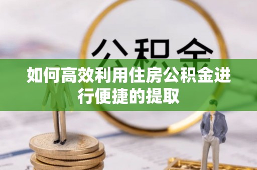 台安如何高效利用住房公积金进行便捷的提取