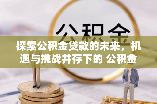 台安探索公积金贷款的未来，机遇与挑战并存下的 公积金贷款风险防控