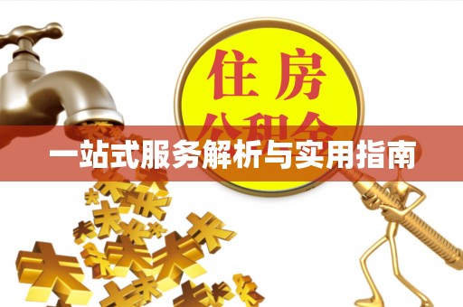台安一站式服务解析与实用指南
