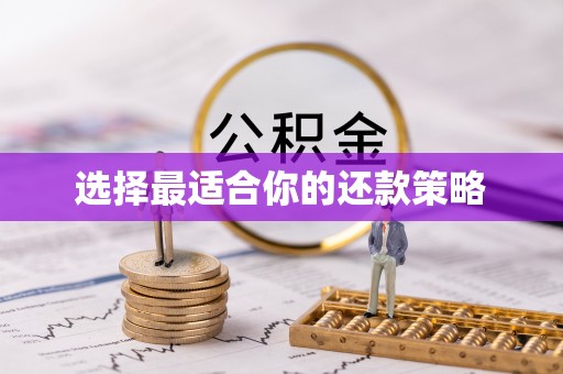 台安选择最适合你的还款策略