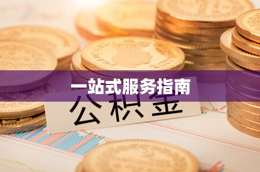 台安一站式服务指南