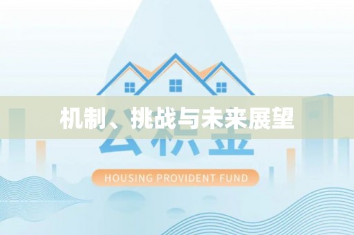 台安机制、挑战与未来展望