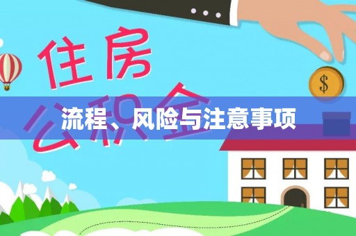 台安流程、风险与注意事项