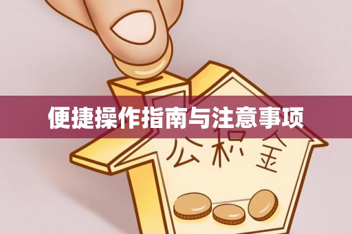 台安便捷操作指南与注意事项